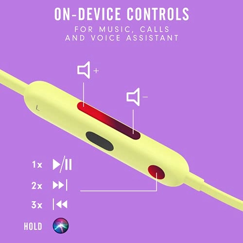 Flex Wireless Earphones