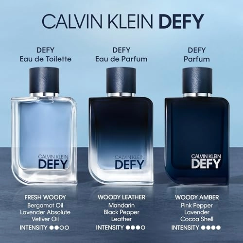 Defy Eau de Toilette - 100ml