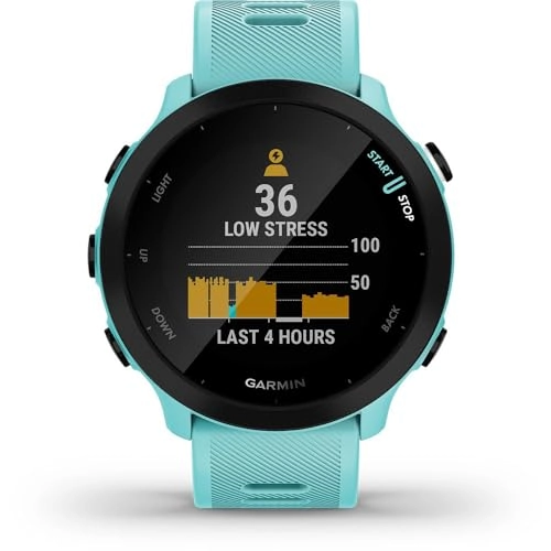 Forerunner 55 42mm Glass GPS