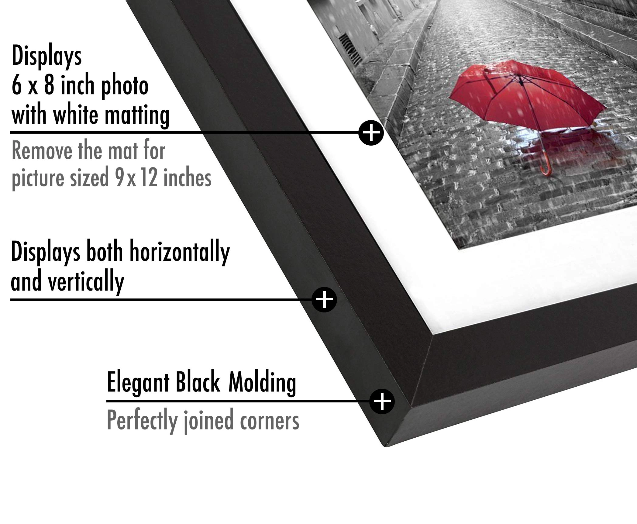 Picture Frame - 9x12