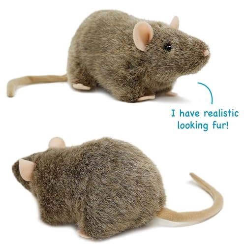 Reuben - 18 cm