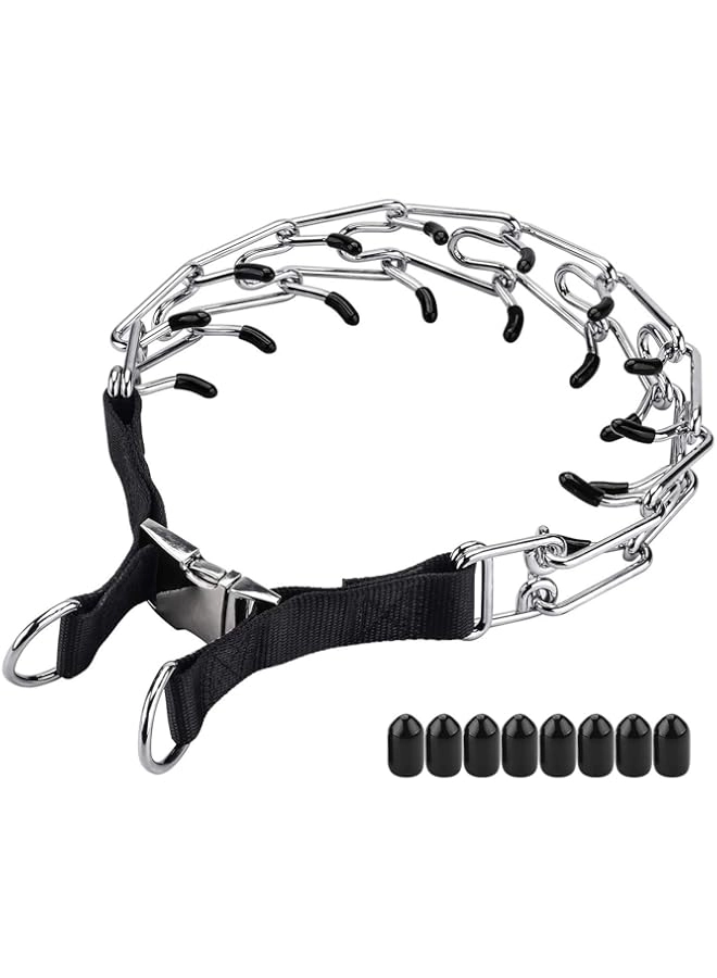 Aheasoun Dog Prong Training Collar - Large dog