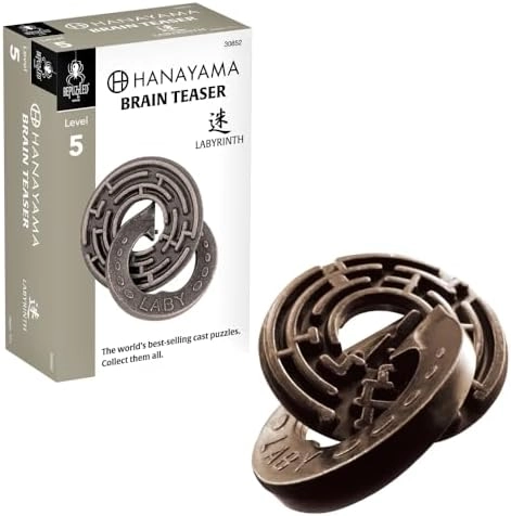 Hanayama LABYRINTH - Level 5