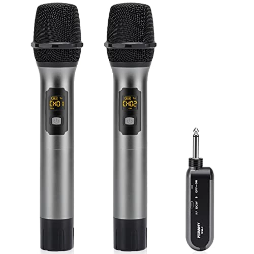 WM-2 - 2 microphones UHF