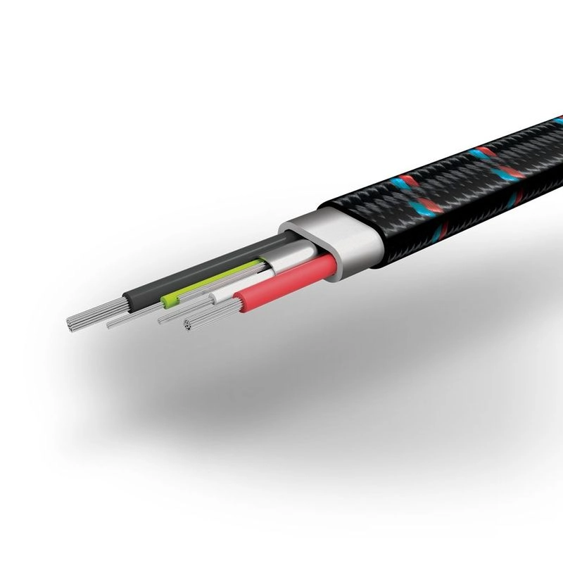 Lynx - type-c Nintendo Switch