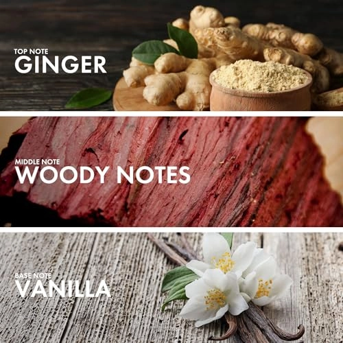 Vanilla Sandalwood Eau de Parfum 50ml