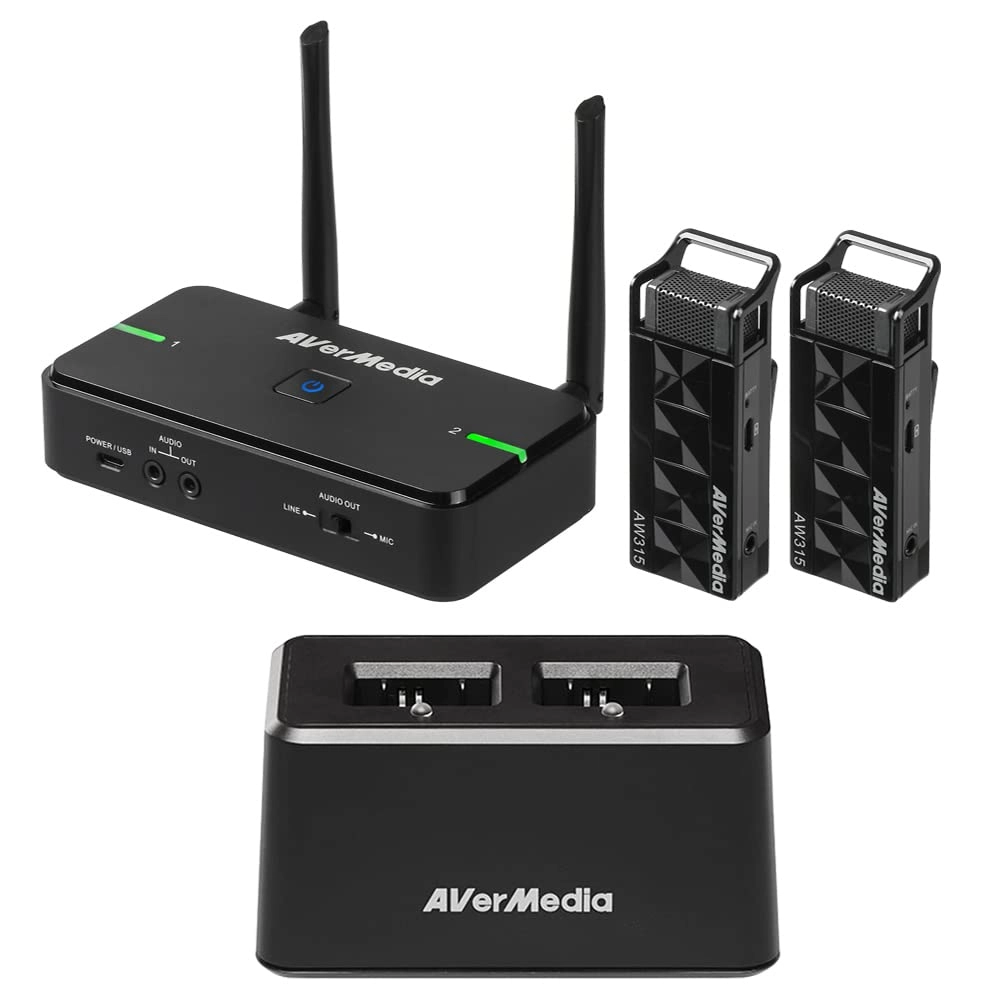 AVerMedia AW315F - two 2.4 GHz