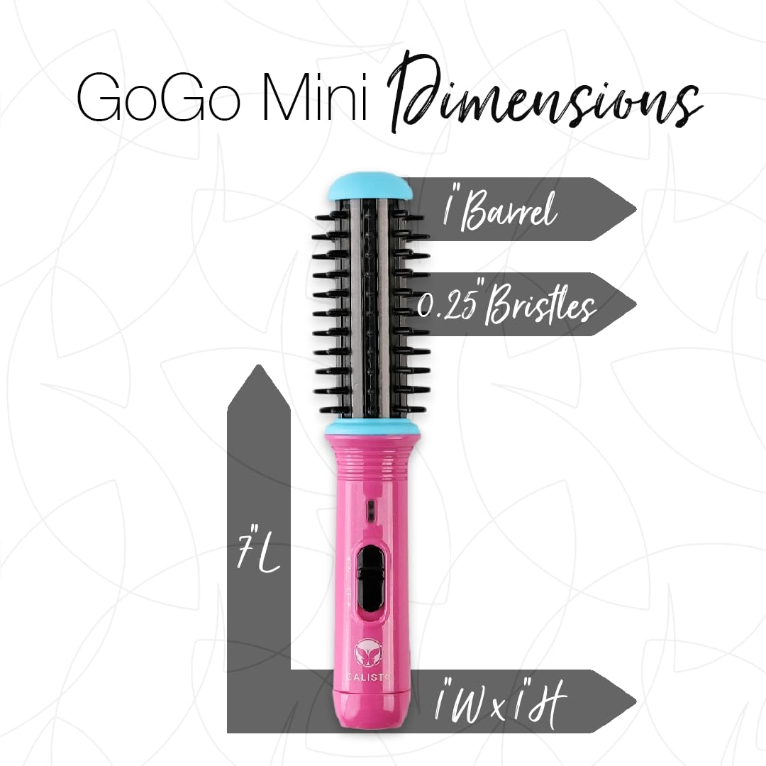 GoGo Mini