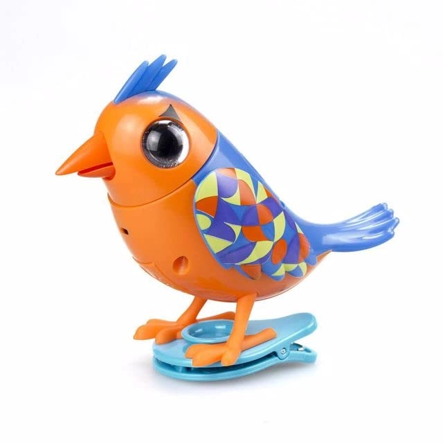 Digibirds - 3 years+