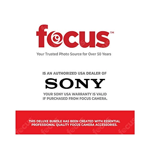 WH-1000XM4 - Wireless Headphone + 10000mAh Ultra-Portable LED Display Wireless Battery Bank - Wireless Battery