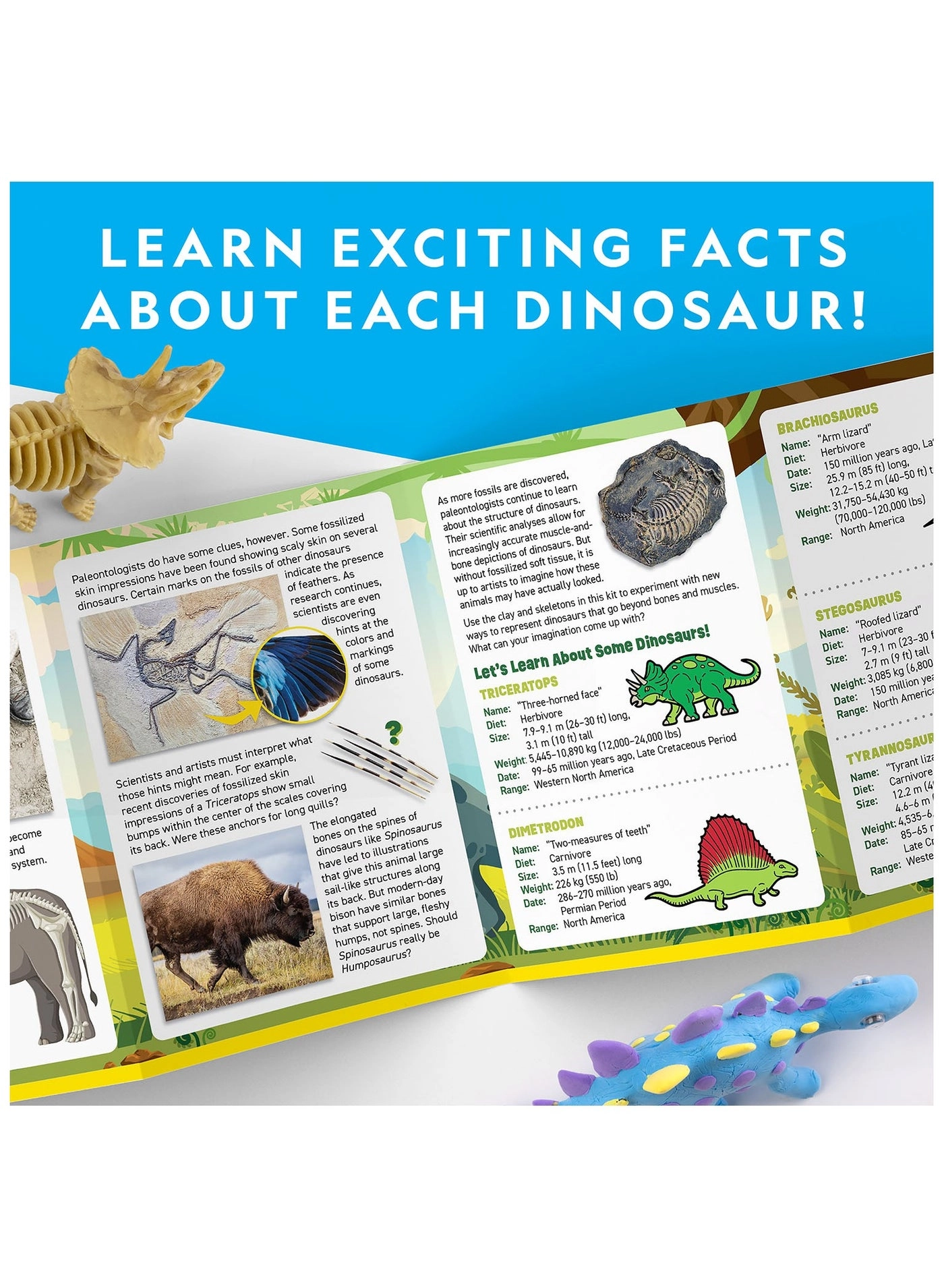 Clay Dinosaur Modeling Kit - 3 models 5 colors 4 years+