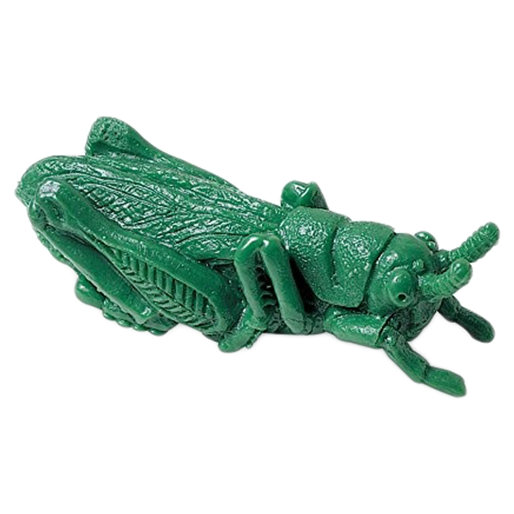 Insect Counters - Suitable for 3 years & above 72 pieces