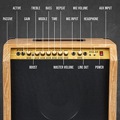 Electric Guitar Amplifier - 60W 10" 4-Ohm Speaker