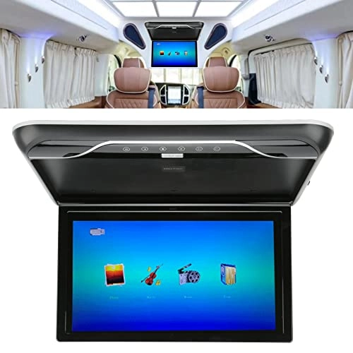 Roofmount Monitor - 19in