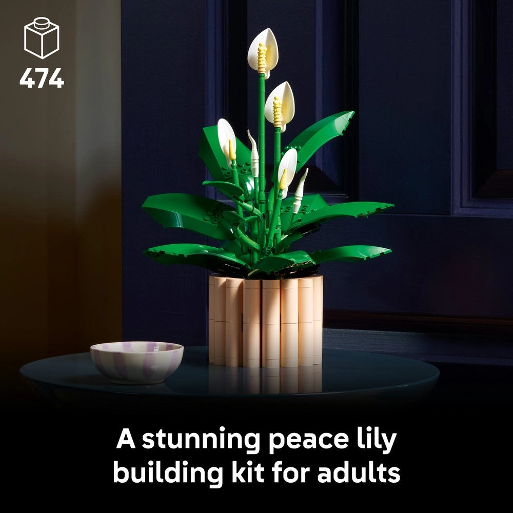 Peace Lily (11504)