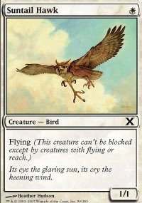 Magic: the Gathering Suntail Hawk 50/383 - Tenth Edition