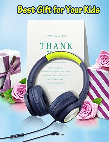 KH211-AT Wired Headphone