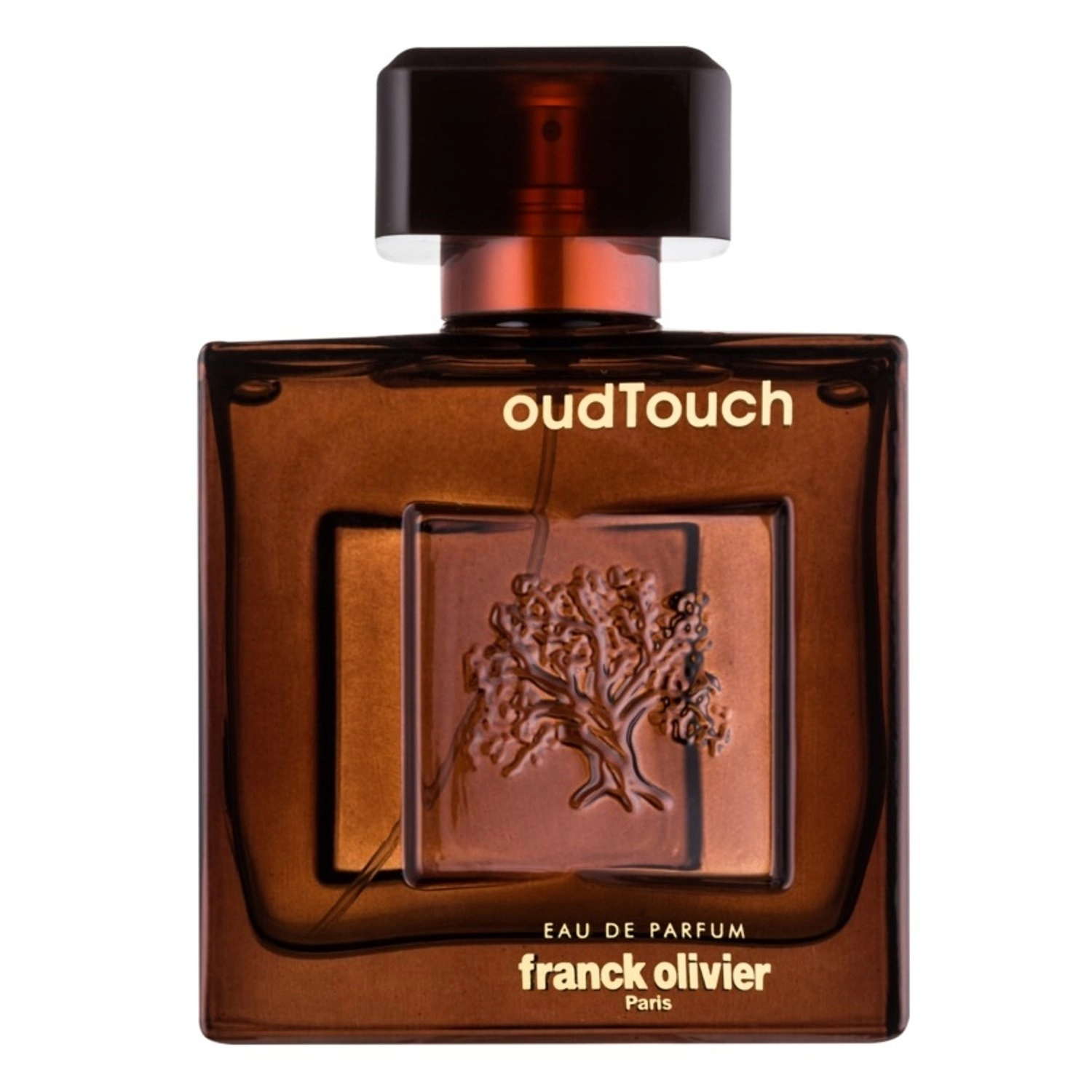Oud Touch Eau de Parfum 100 ml