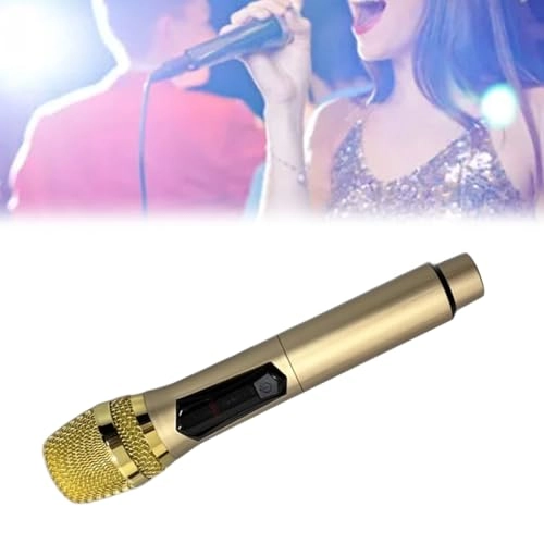 Elpricobdy579vg6e-13 USB+Wireless Microphone
