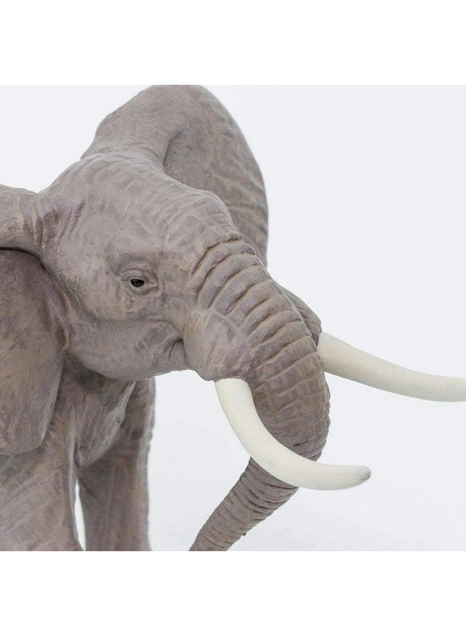 Wildlife - African Elephant