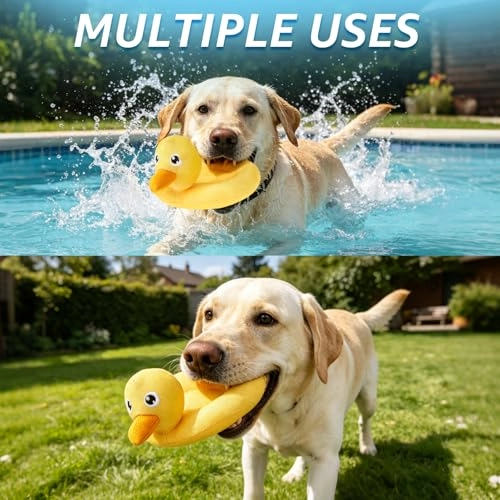 Turtle - Floating Squeaky + Duck
