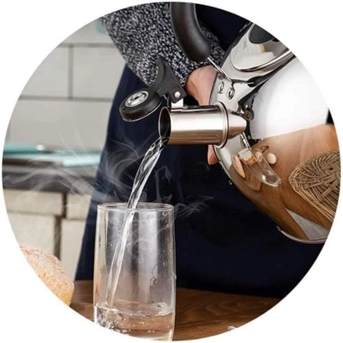 Stovetop Induction Whistling Kettle - 5L