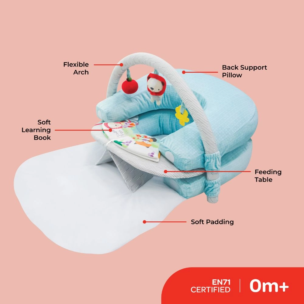 Chirpy Portable Activity Gym Play Mat - 0 months