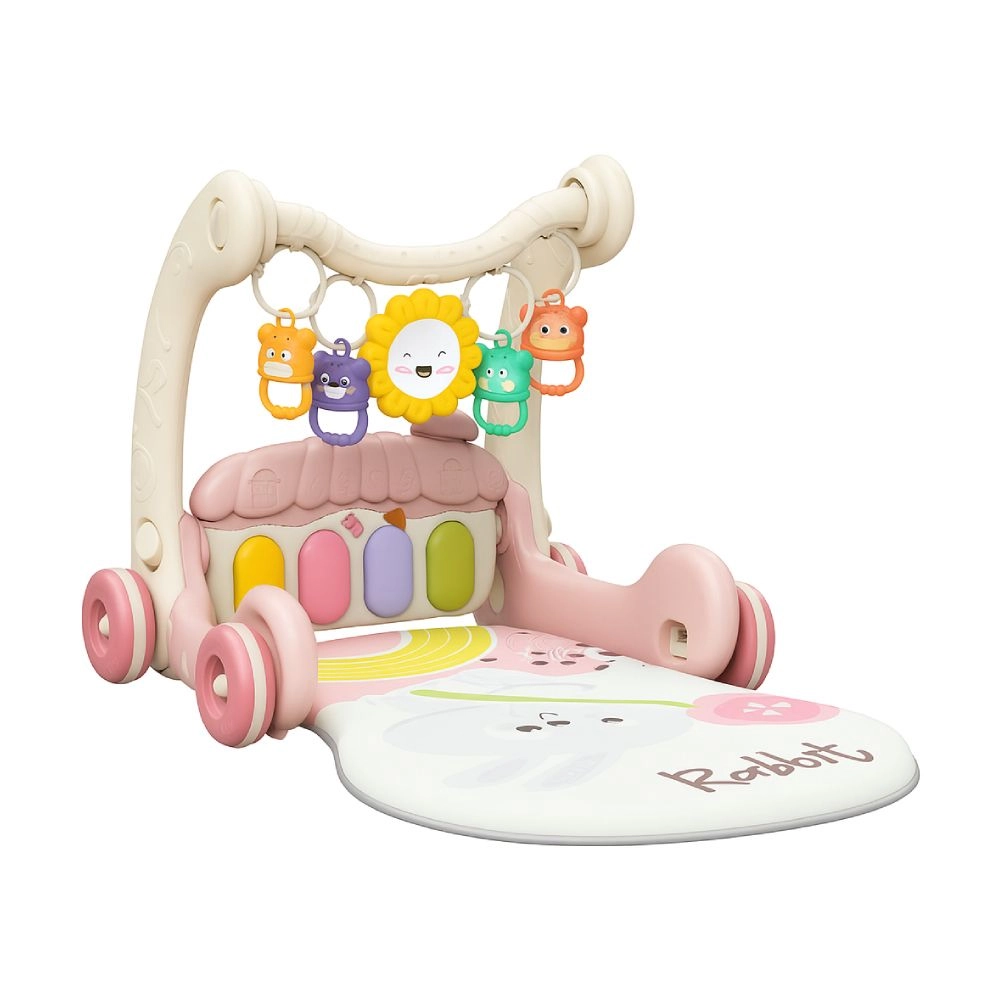 Daisy - 3-In-1 Baby Walker