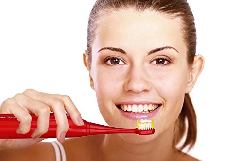 S430 - High Power Rechargeable 12 Brush Heads