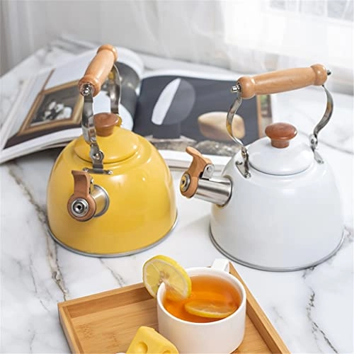 Stainless Steel Kettle - 2.5L