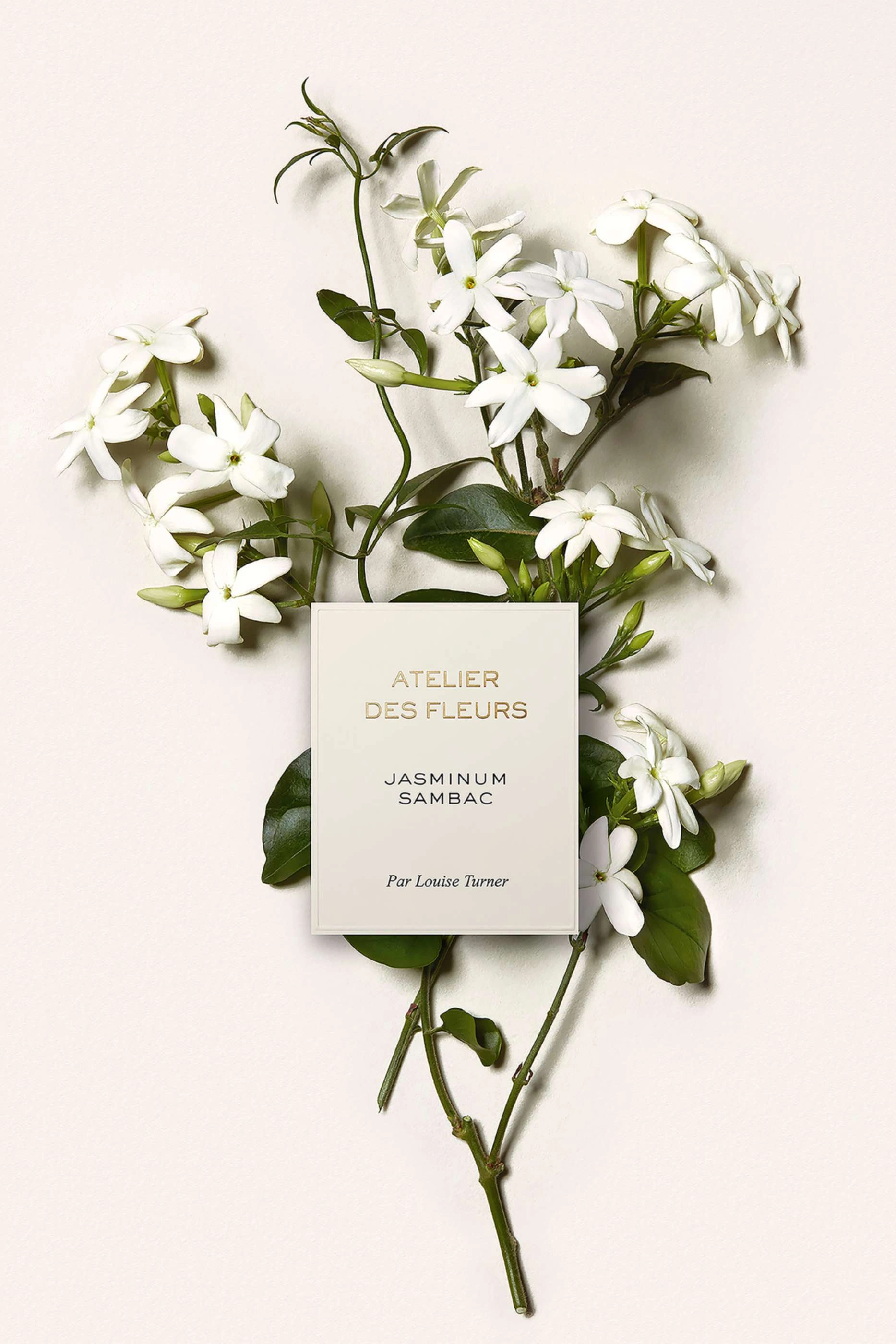 Jasminum Sambac - Eau de Parfum 50ml