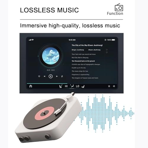 Headrest player - 11.6-inch