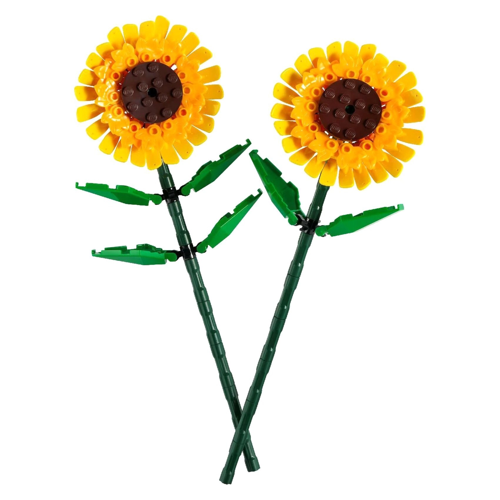 COLOR LAND CHILDRENS TOYS CENTER LLC Sunflowers (40524)