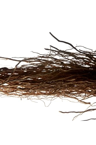 L Homme Eau de Toilette 100ml