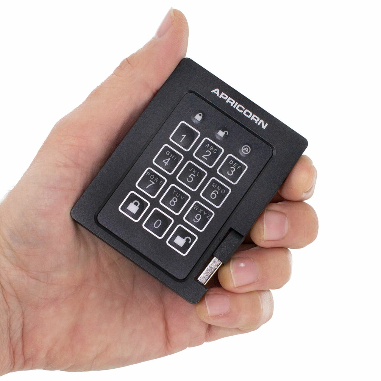 Aegis Padlock - 4 TB