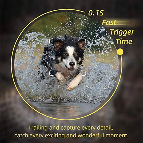 Trail Camera - 24 megapixel