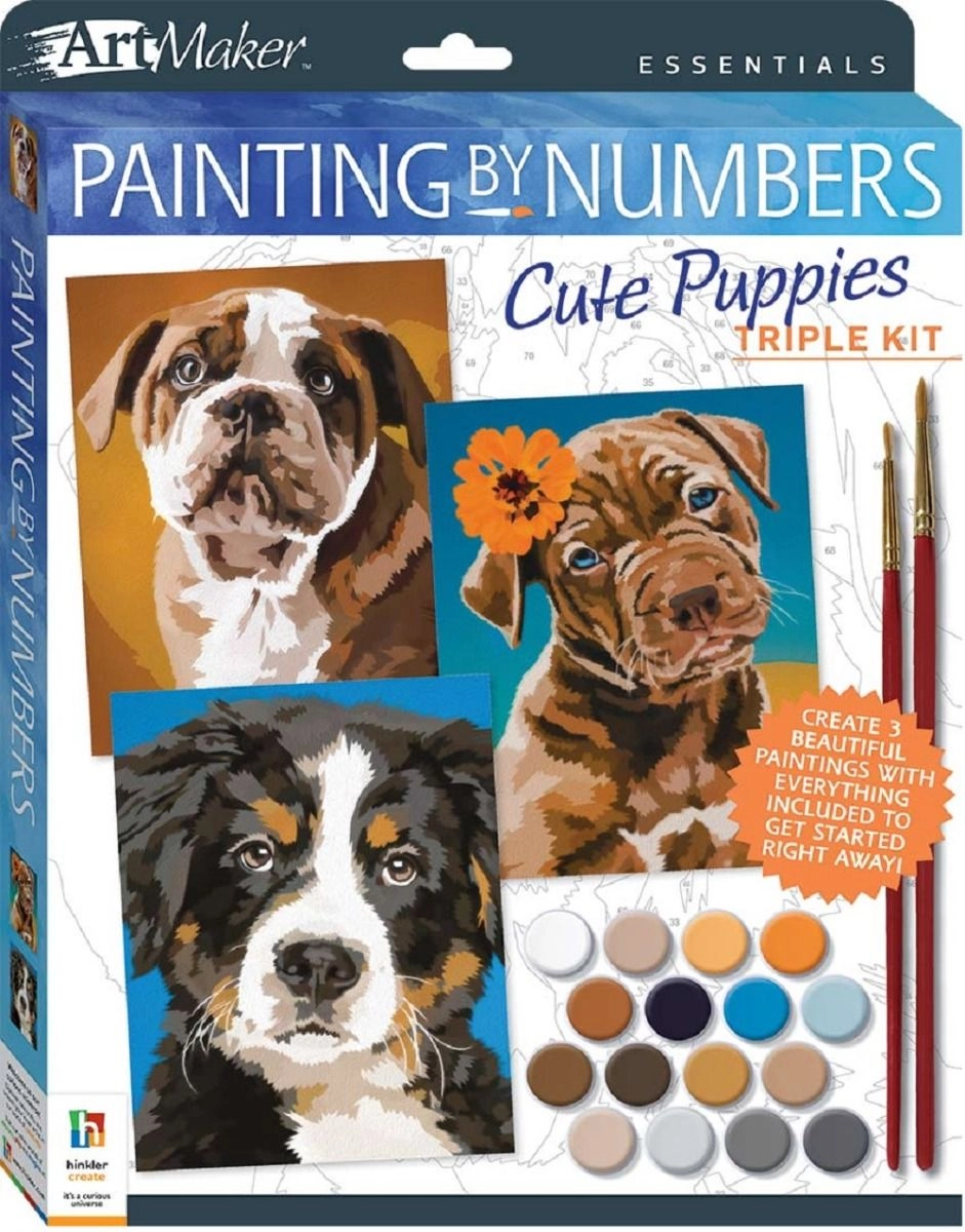 Hinkler Art Maker Painting by Numbers - 16 paint pots 2 paintbrushes