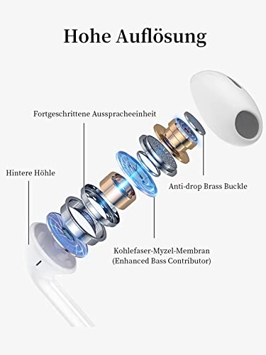 1 Wired Headphone