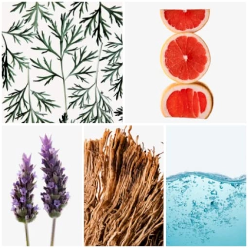 Grapefruit, Jasmine, Lavender, Wood Eau de Toilette 100 ml