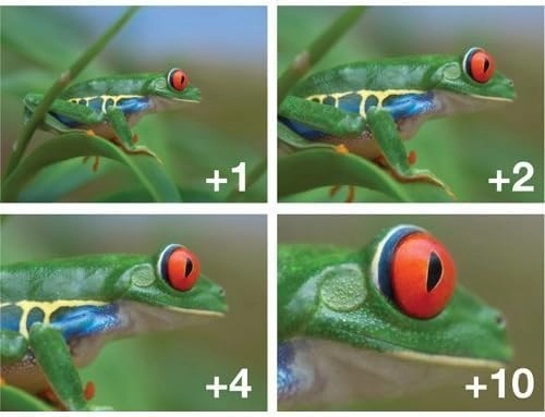 Digital LED Ring Light - LED Circular Light + HD Macro Lens - 58mm