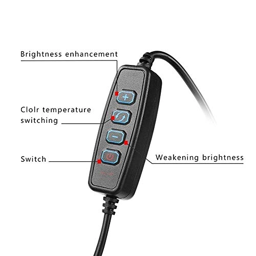 Fill Lamp - Dimmable 3 colors USB Powered