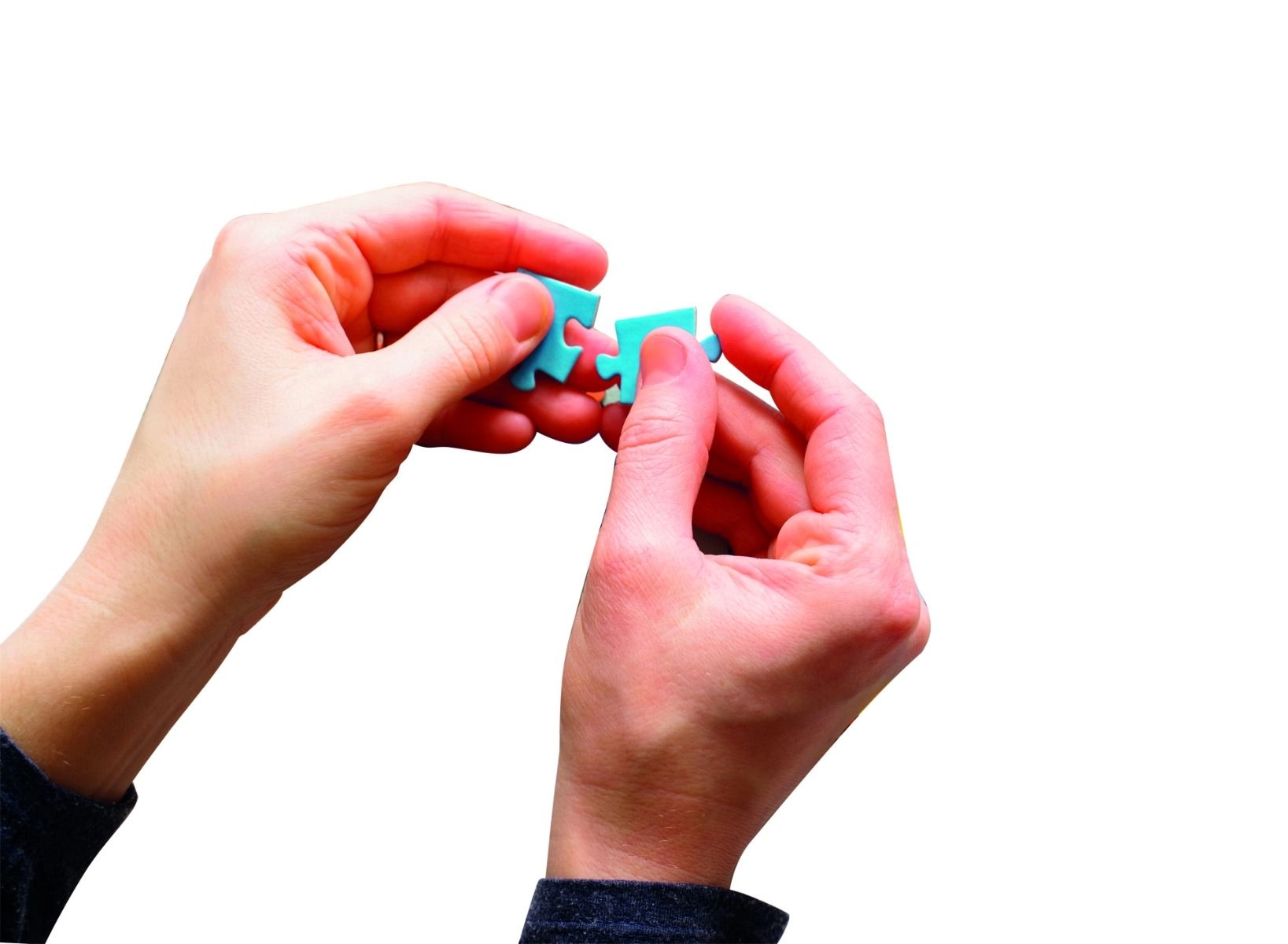 Fuji Garden Puzzle (ALGT-39910) - 1000 pcs