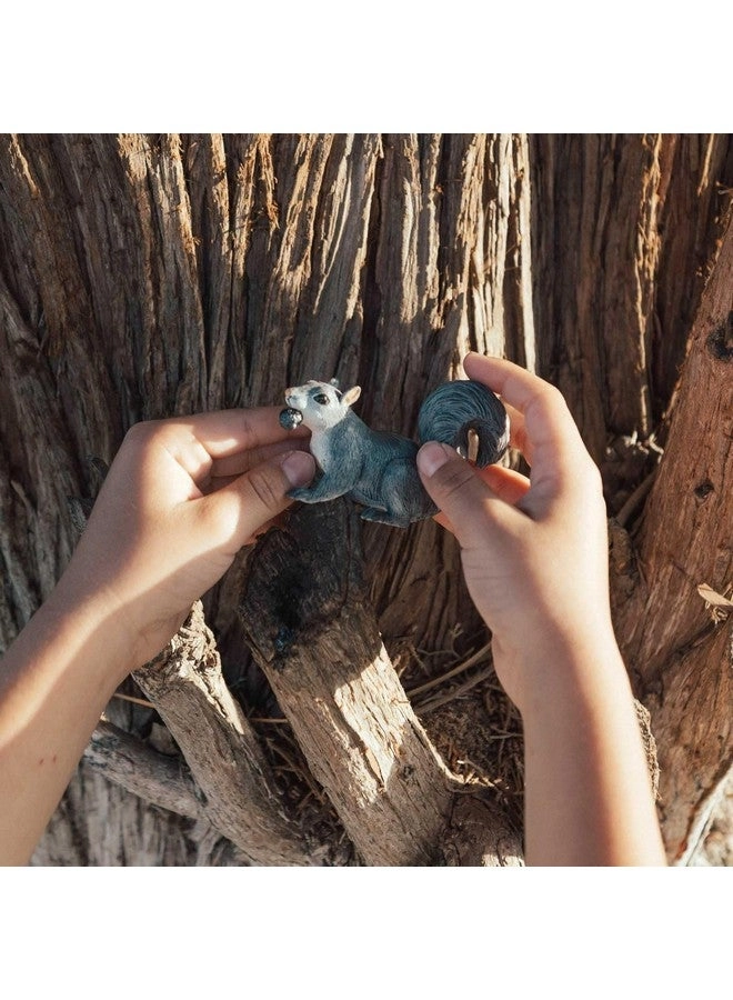 Wildlife - Gray Squirrel