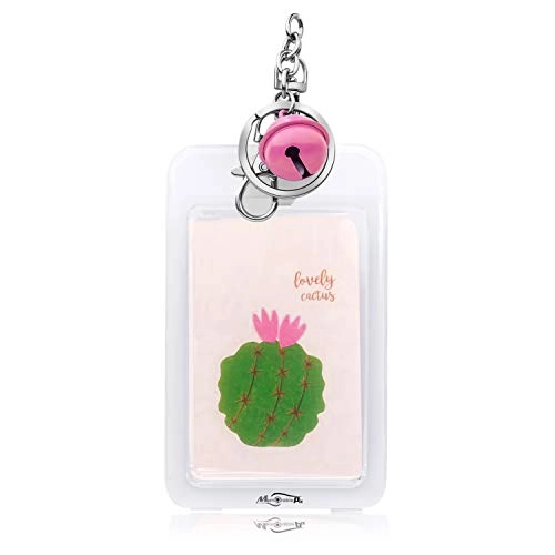 Mini Film Key Chain - 3" x 5" Changeable