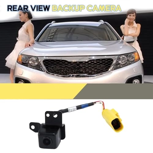 Reverse Camera - Night vision