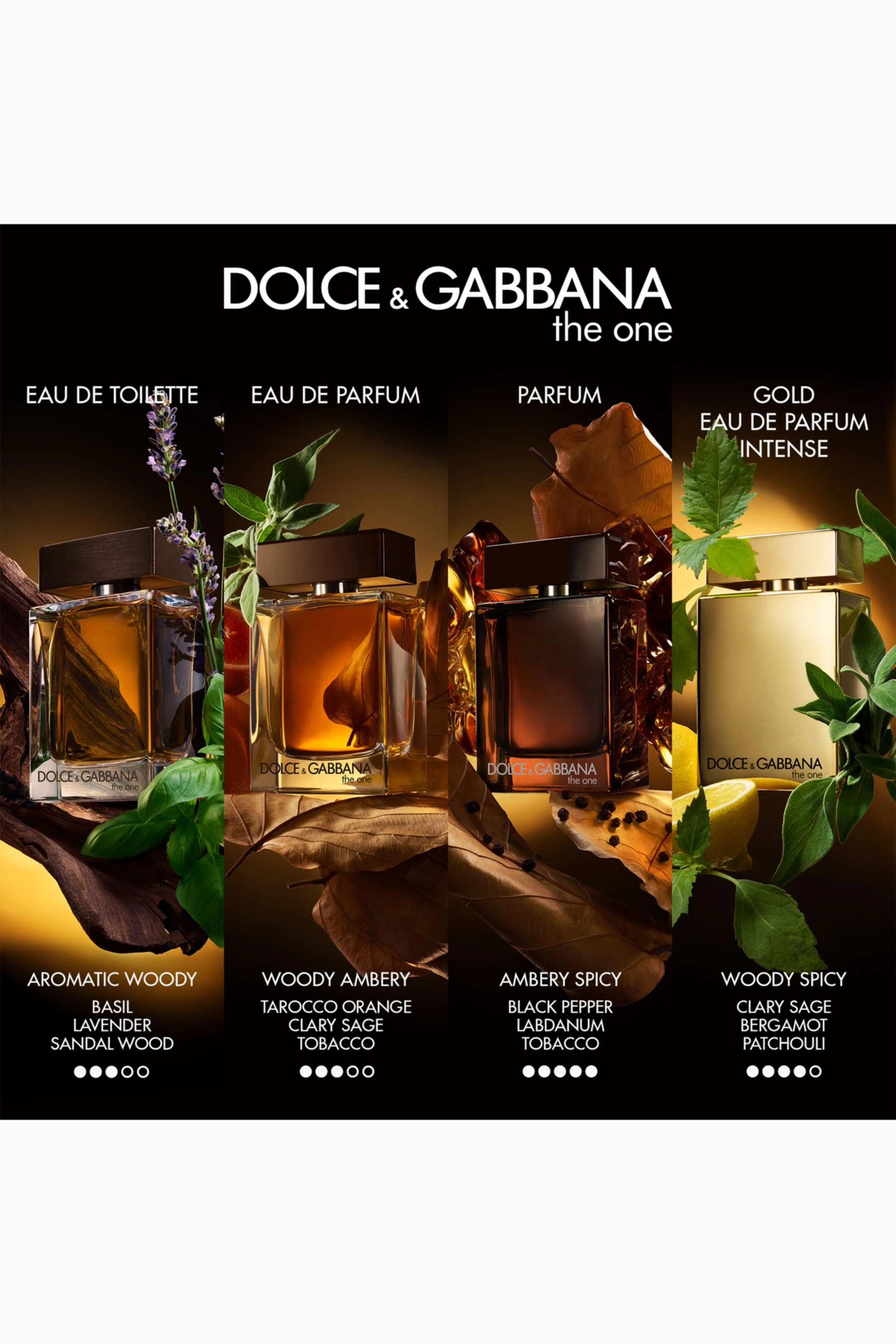 The One for Men Gold Eau de Parfum 100ml