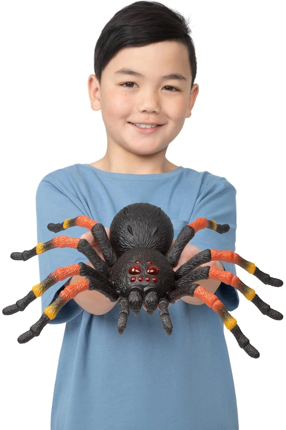 Giant Tarantula Spider - 15"