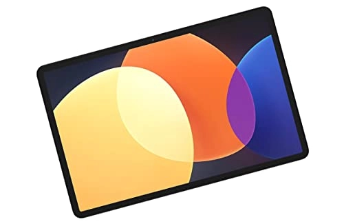 Pad 5 Pro - 256GB 11"