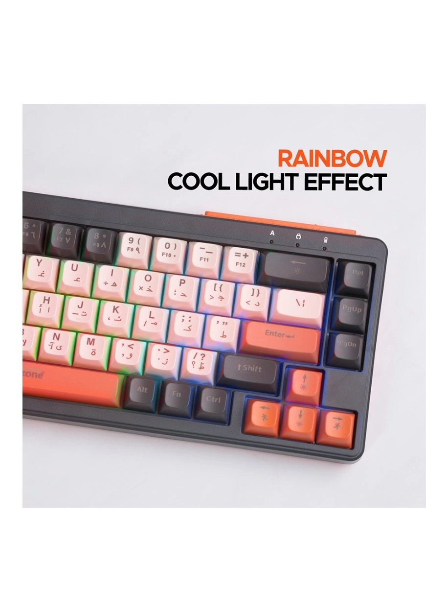 BK-036 - EN/AR Wireless