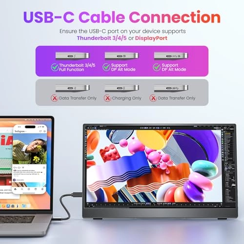 Portable Monitor - FHD 15.6 Inch